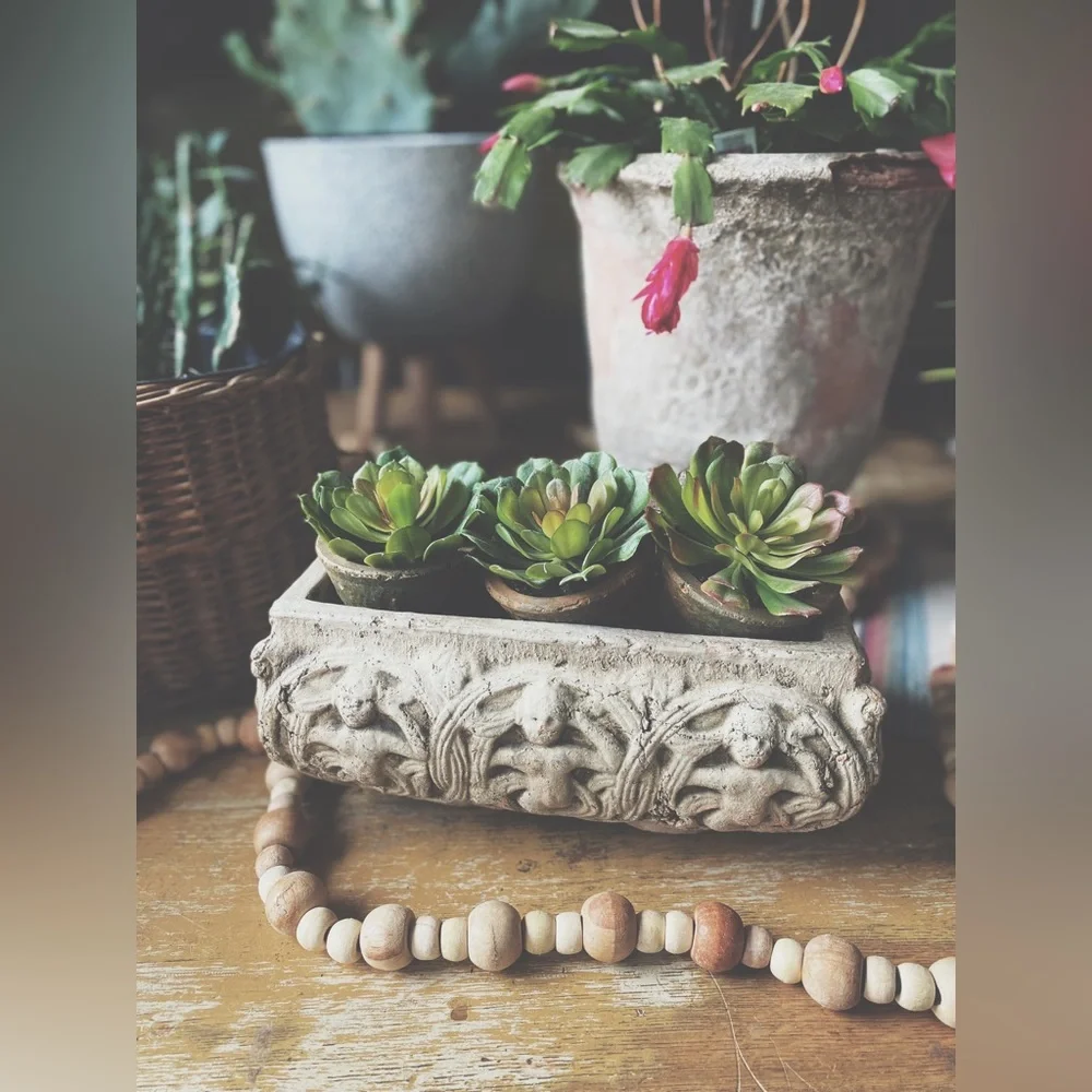 Set of 3 Rustic Clay Potted Faux Succulents - Boho Home Decor